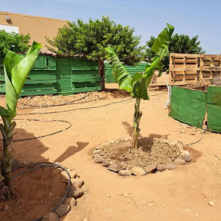 Tiny House Camion Fijo En Islas Canarias *