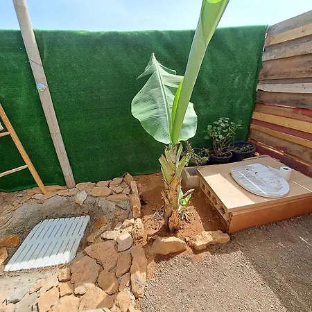 Kamp alanı Tiny House Camion Fijo En Islas Canarias *