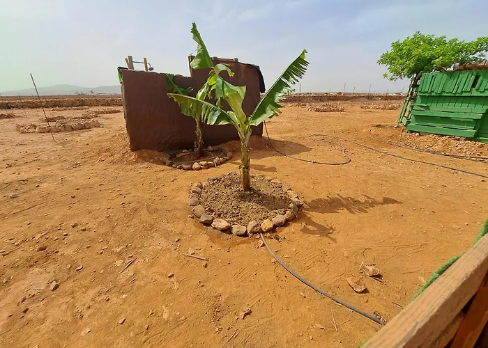 Кемпинг Tiny House Camion Fijo En Islas Canarias *