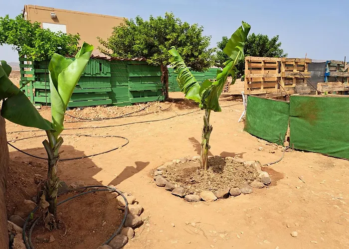 Tiny House Camion Fijo En Islas Canarias *